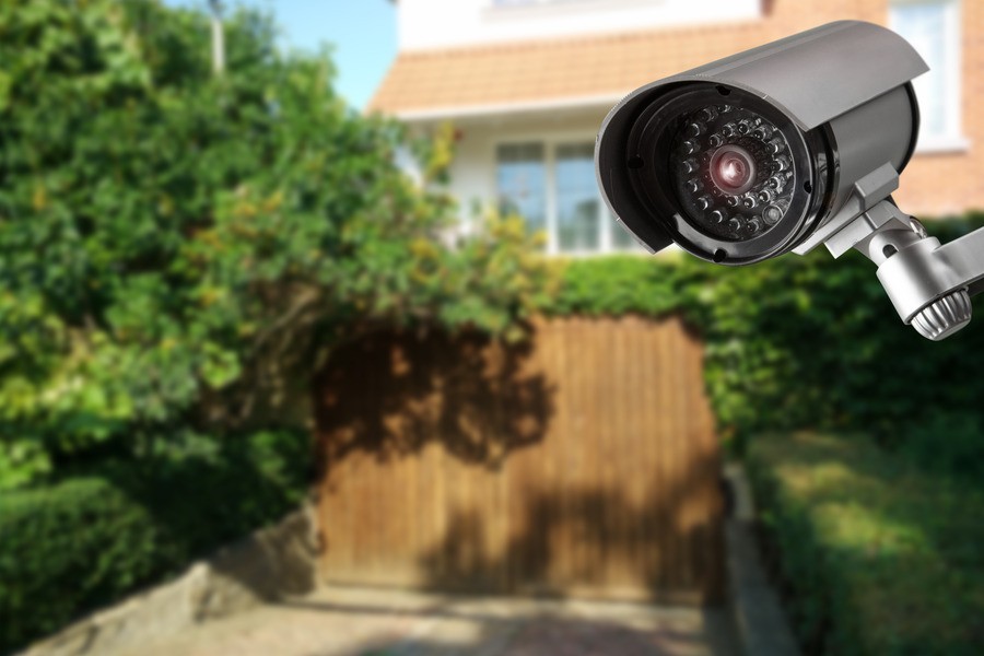 A security camera in front of a driveway surrounded by foliage.